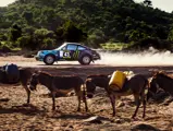 The Tuthill-prepared Porsche 911 SC 'Safari' on the 2022 East African Safari Classic, driven by Ken Block.