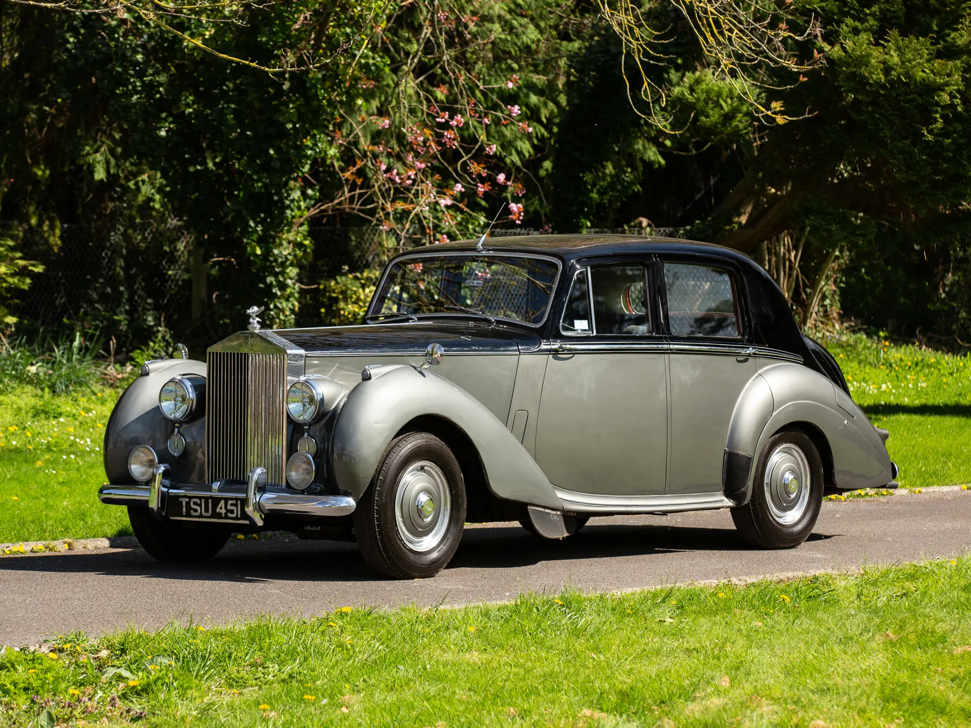 1954 Rolls-Royce Dawn