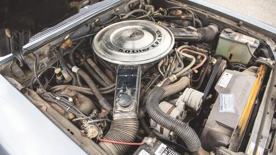 Photo: Teddy Pieper @vconceptsllc | ©2020 Courtesy of RM Auctions