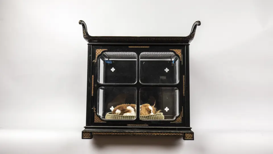 Picture of Dog Crate | Handle with Fun | RM Sotheby's