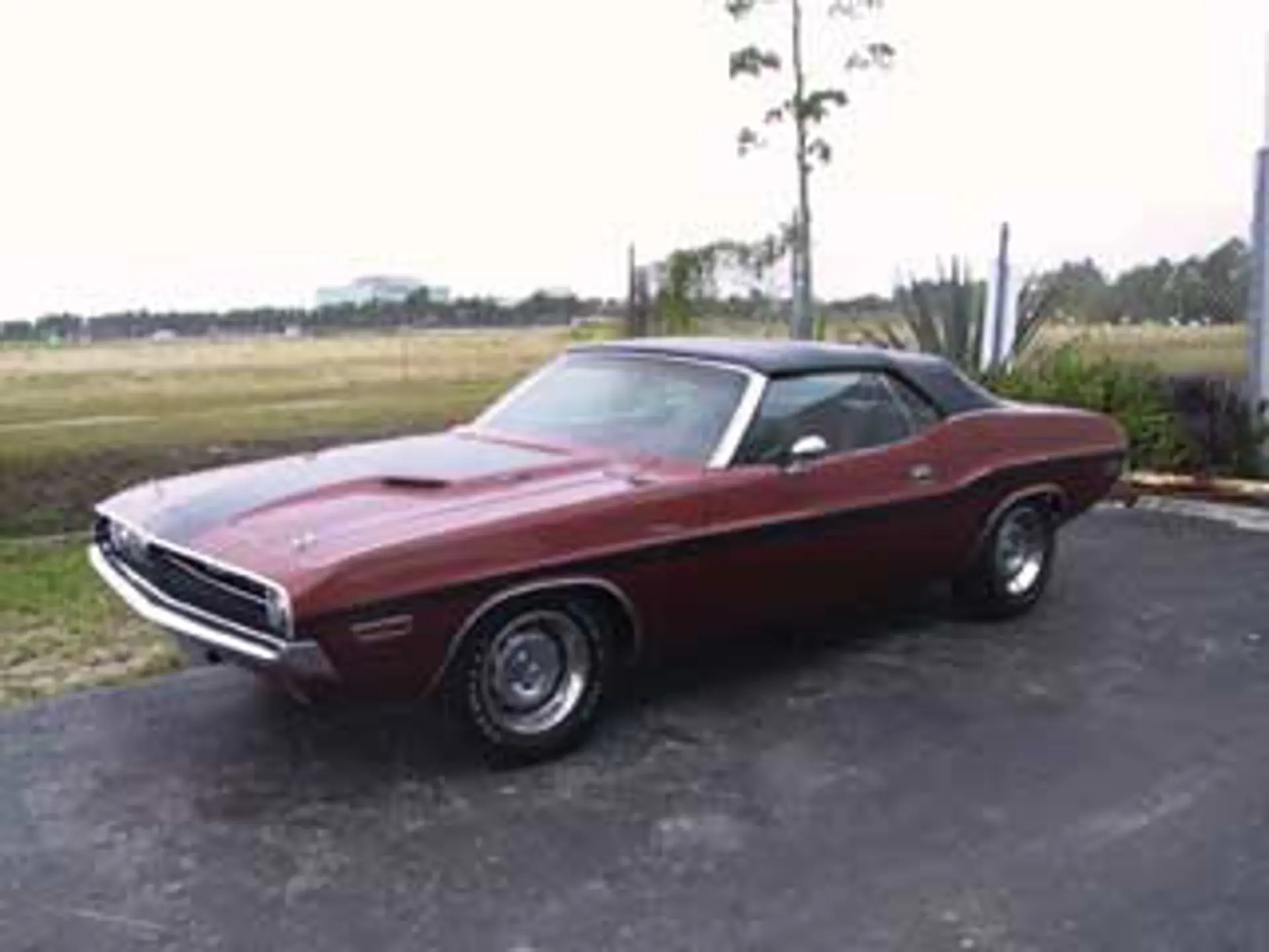 テンダーロイン 七分袖　NEIGHBORHOOD challenger 1971 Dodge Challenger | Classic Cars for Sale - Streetside