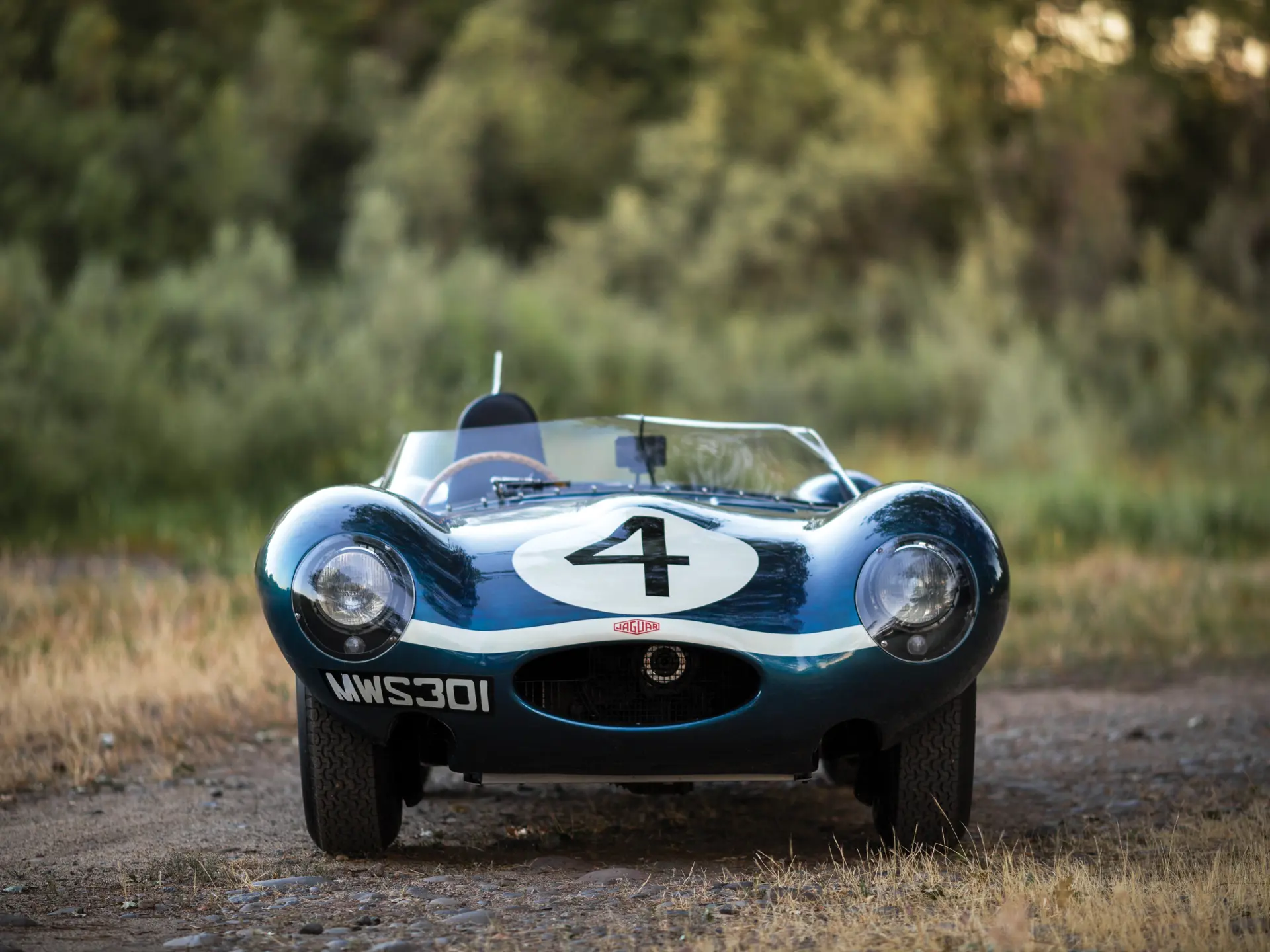 1955 Jaguar D-Type - imagen 9