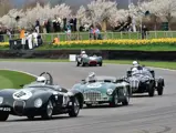 Chassis no. 421/200/210 at speed on the track at the 72nd Goodwood Members meeting. 