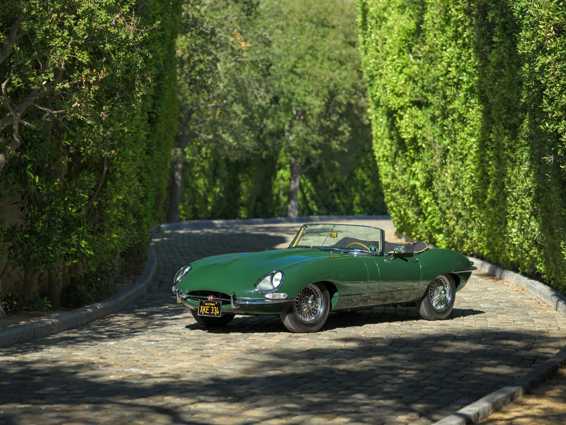 37972dd87b65c9dbc28c98a8076766