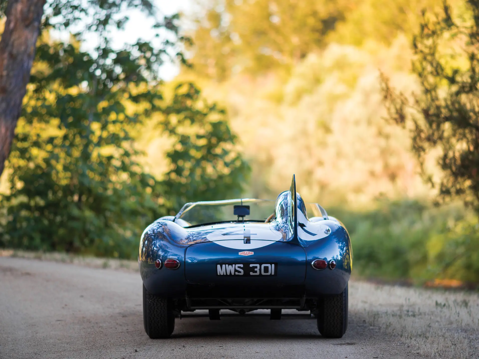 1955 Jaguar D-Type - imagen 10