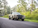 Auction Lot  Photography by Deremer Studios LLC