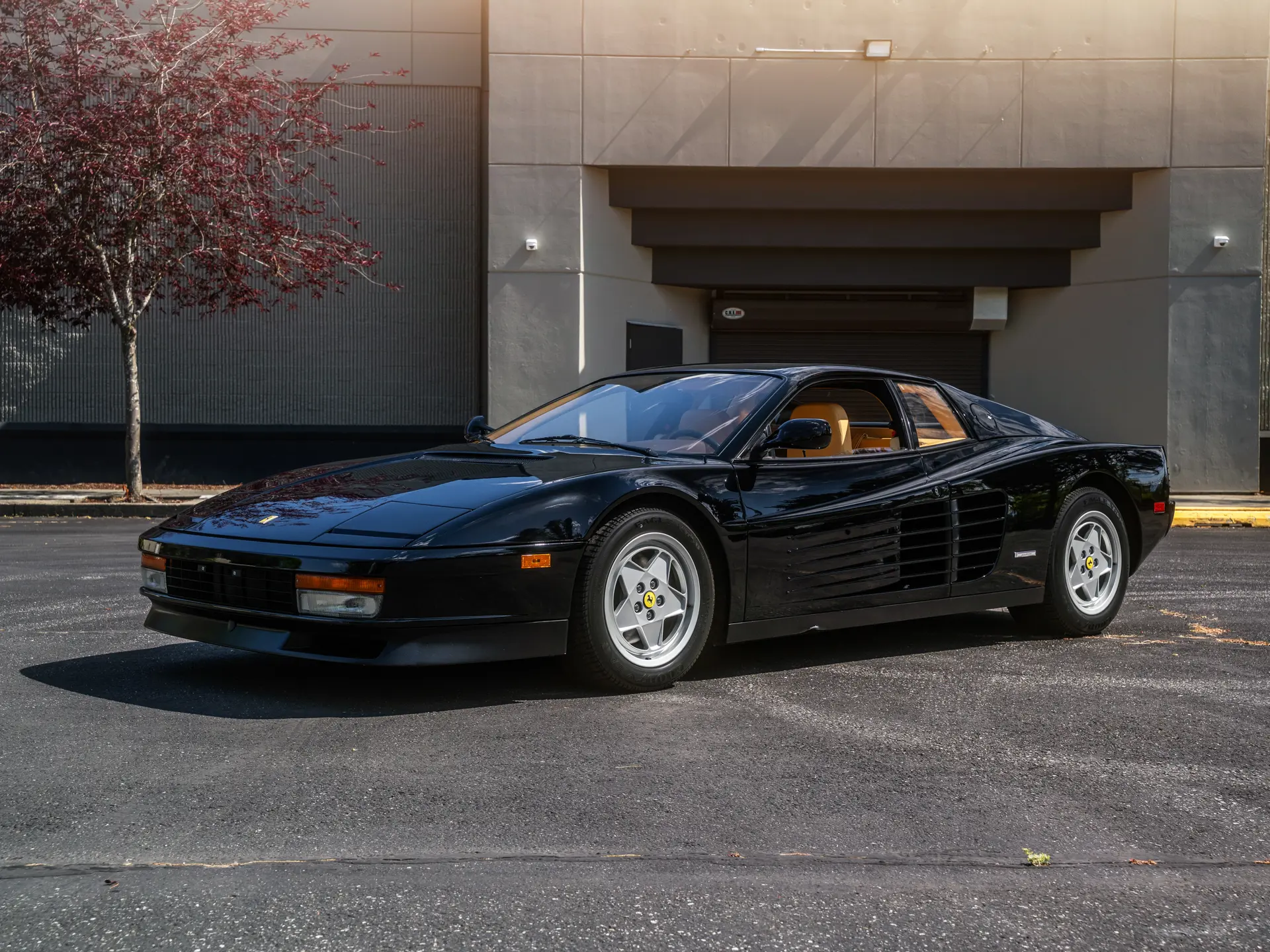 1988 Ferrari Testarossa