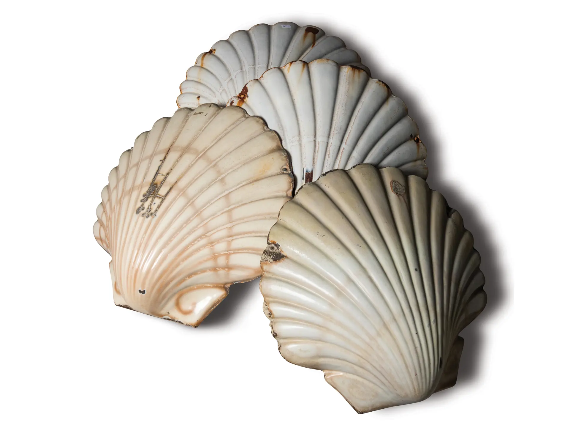 Porcelain Shells | The Dingman Collection | RM Sotheby's