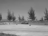 The Chevrolet Corvette SS at the 1957 12 Hours of Sebring.