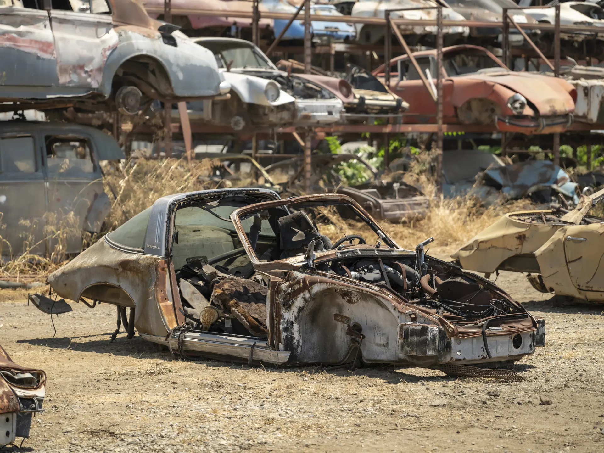 9111310431