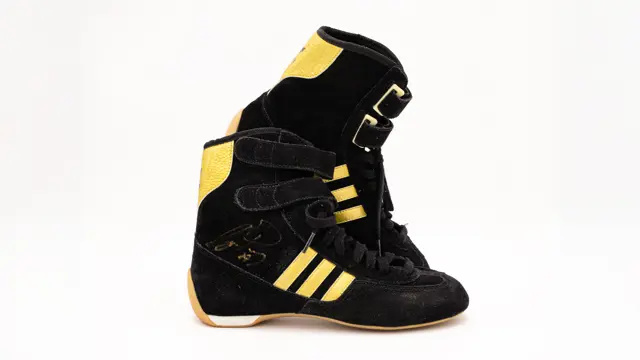 シャンプー Ayrton Senna アイルトン・セナ × -273 レーシンググローブ | モトーリモーダ