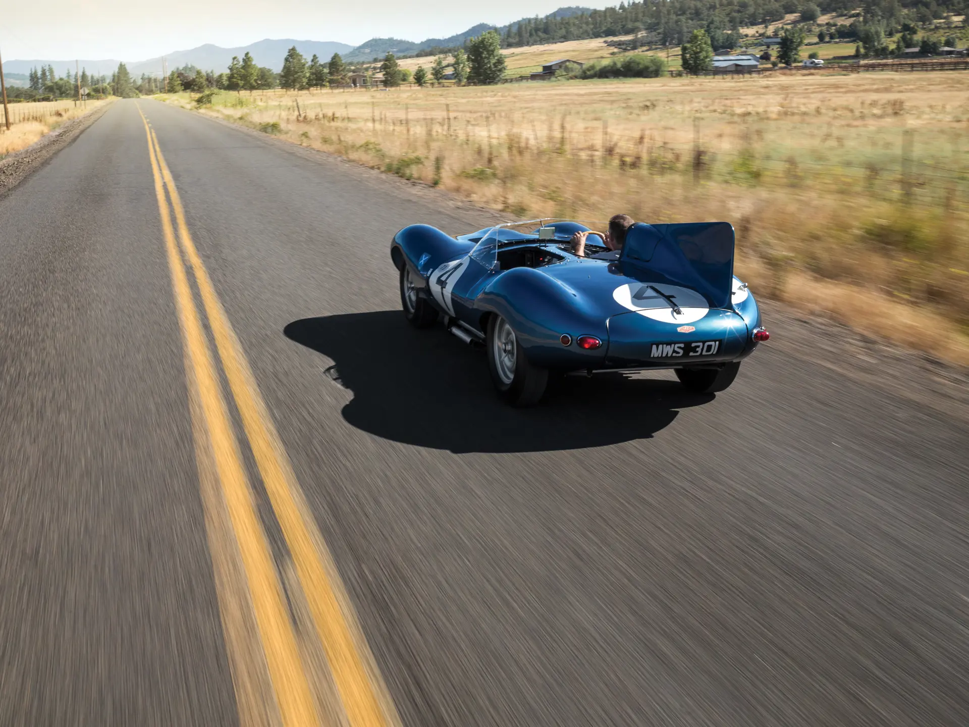 1955 Jaguar D-Type - imagen 12