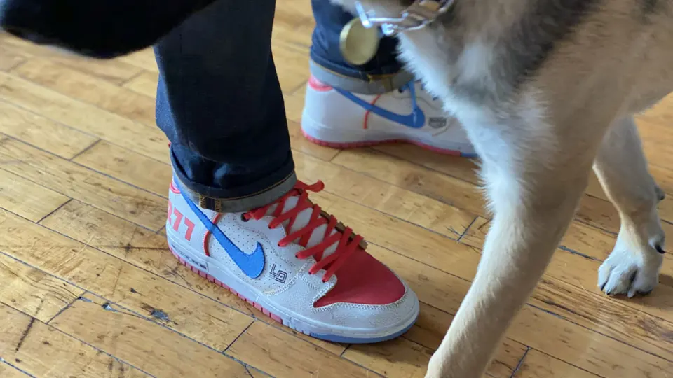 Magnus Walker Nike ‘277’ SB Dunk Sneakers, Dead Stock and Signed ...