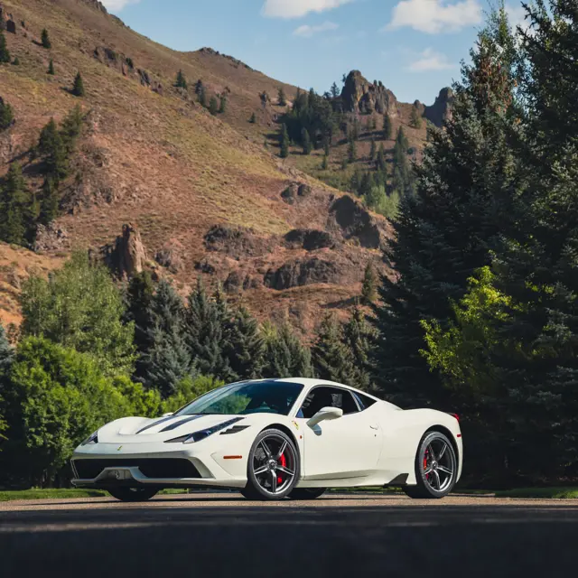 9008369b1205d2cd239a7469b73ef2