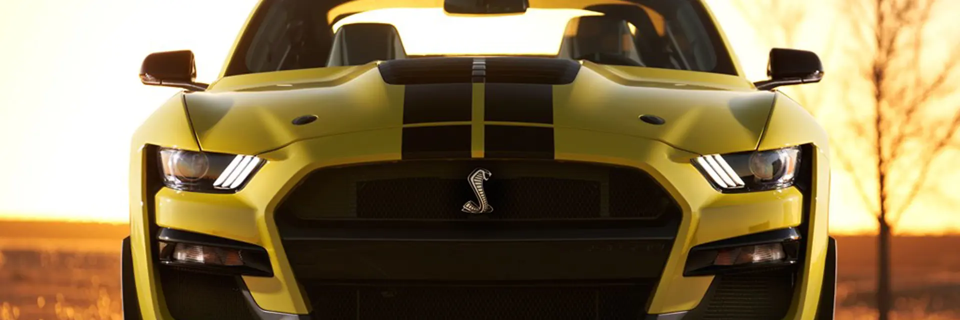 2021 Ford Shelby GT500 offered at RM Sothebys Arizona live auction 2022