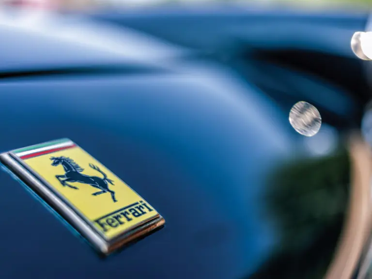 1/320, f 2, iso100 with a {lens type} at 35 mm on a Canon EOS-1Ds Mark III.  Photo: Cymon Taylor
