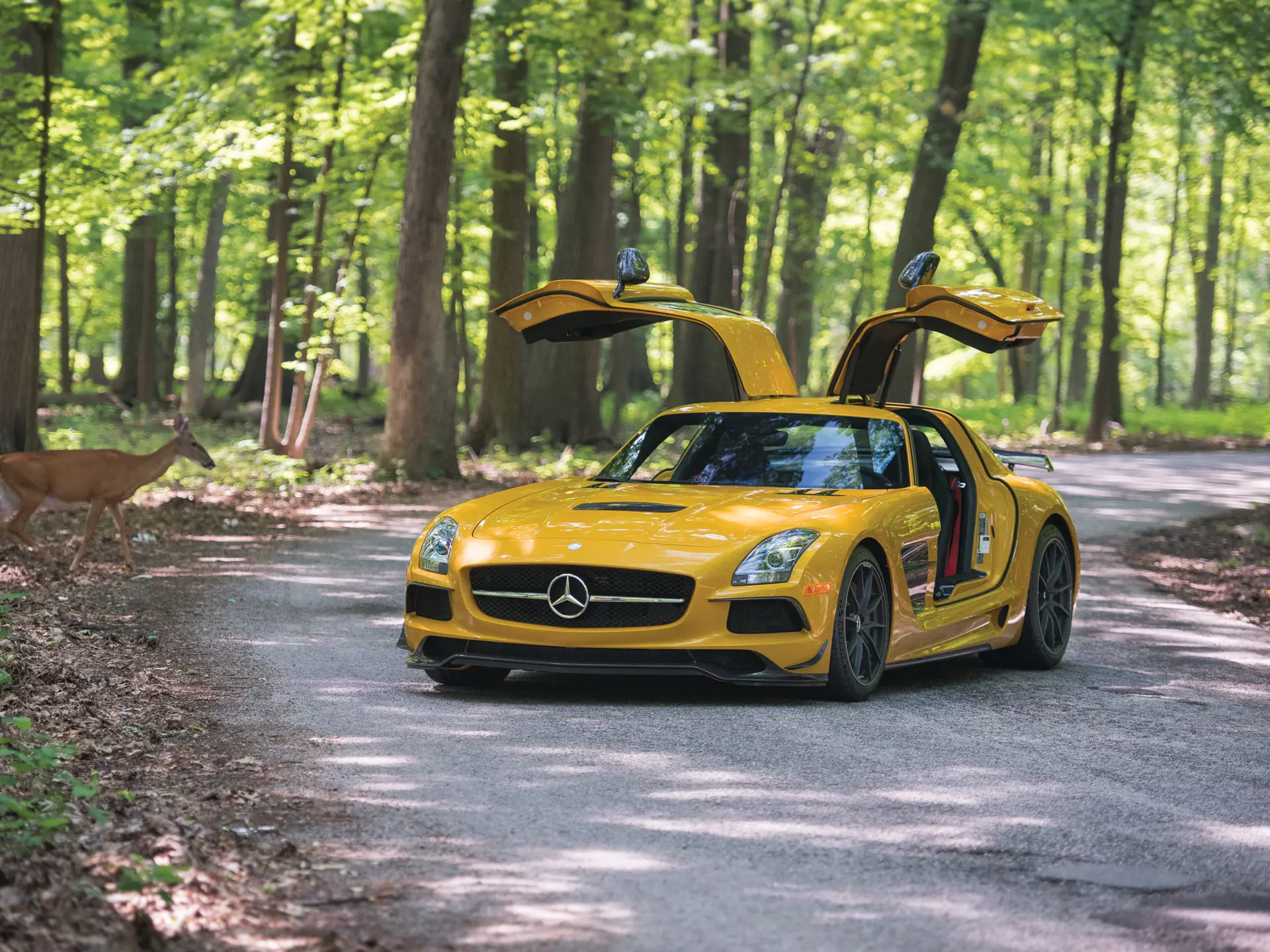 2014 Mercedes-Benz SLS AMG Black Series | Monterey 2016 | RM