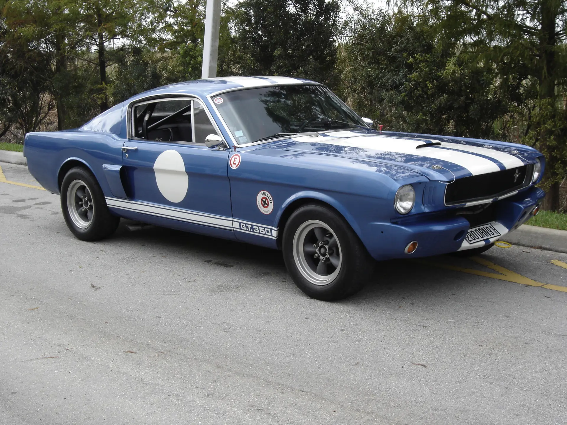 1966 Shelby GT350 