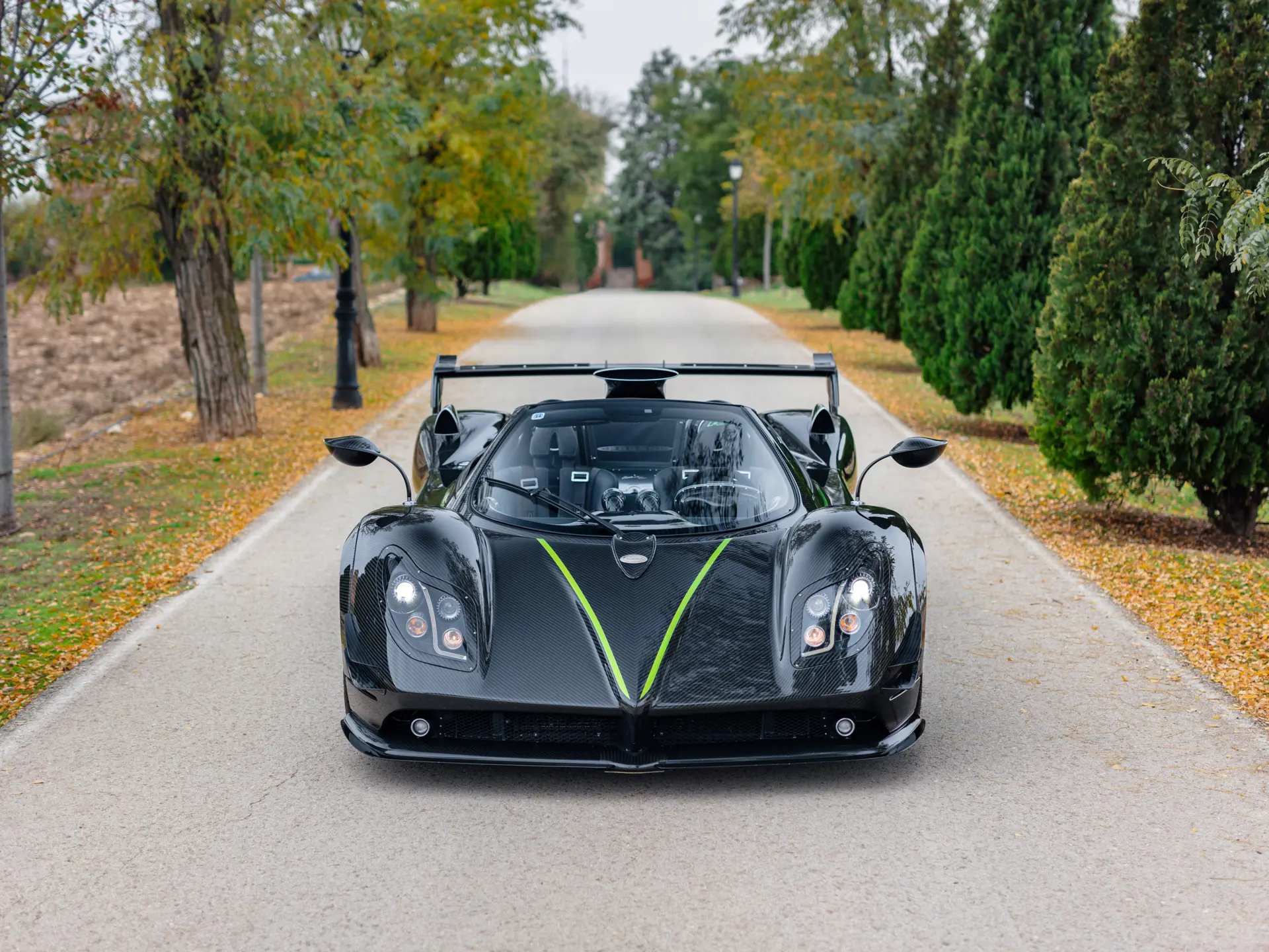 2014 Pagani Zonda LM Roadster - imagen 8