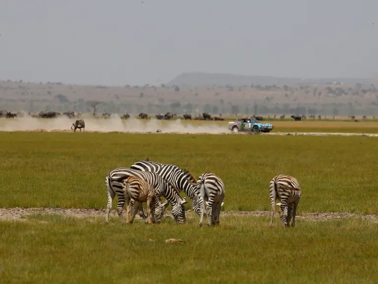 The Tuthill-prepared Porsche 911 SC 'Safari' on the 2022 East African Safari Classic, driven by Ken Block.