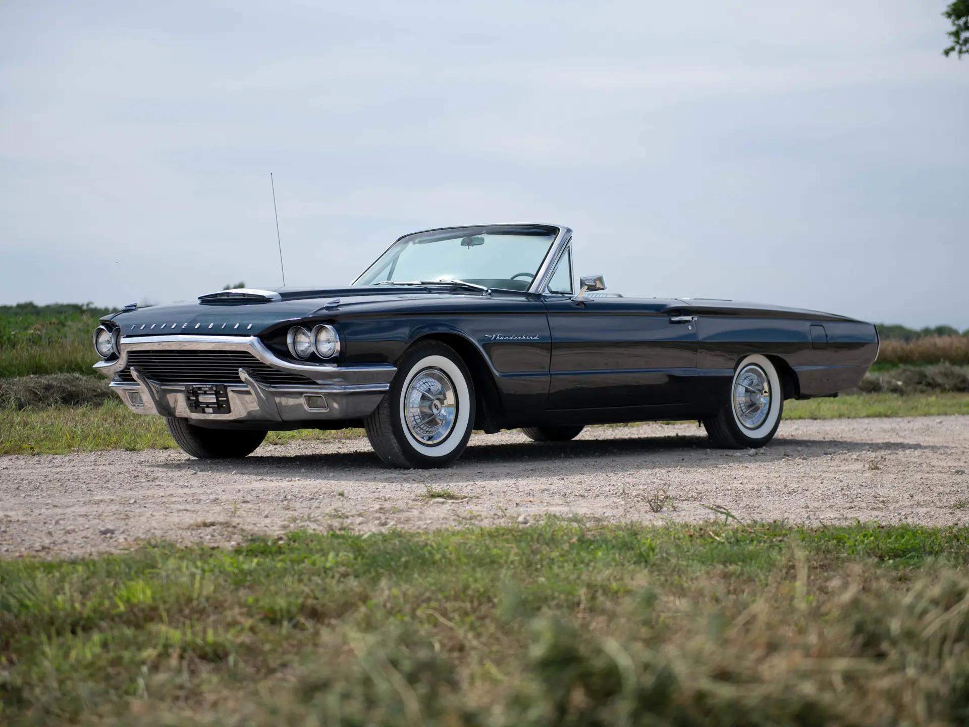 【ag】DaliaSolido NO31 FORD THUNDERBIRD ag】DaliaSolido NO31 FORD THUNDERBIRD ag】DaliaSolido NO31