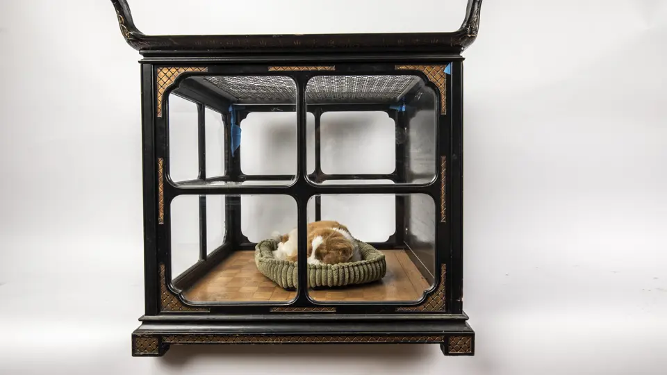 View of Dog Crate | Handle with Fun | RM Sotheby's