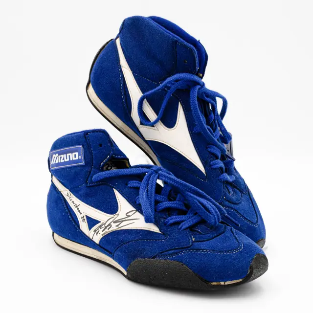 MICHAEL SCHUMACHER ピンズ MICHAEL SCHUMACHER ピンズ Collectables | Michael Schumacher Shop