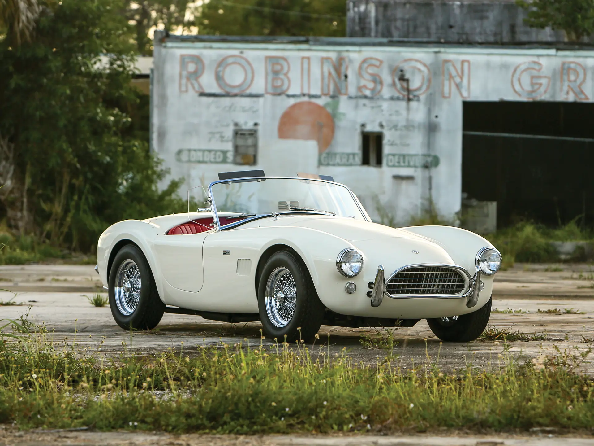 自動車 EXTO AC COBRA 289 Shelby-Cobra-289-1.jpg
