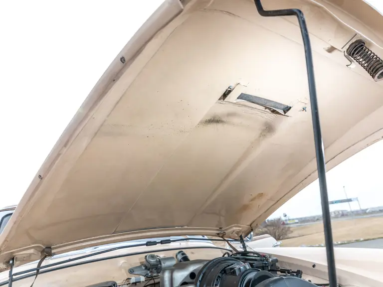 1958 Packard Hawk | Photo: Teddy Pieper - @vconceptsllc
