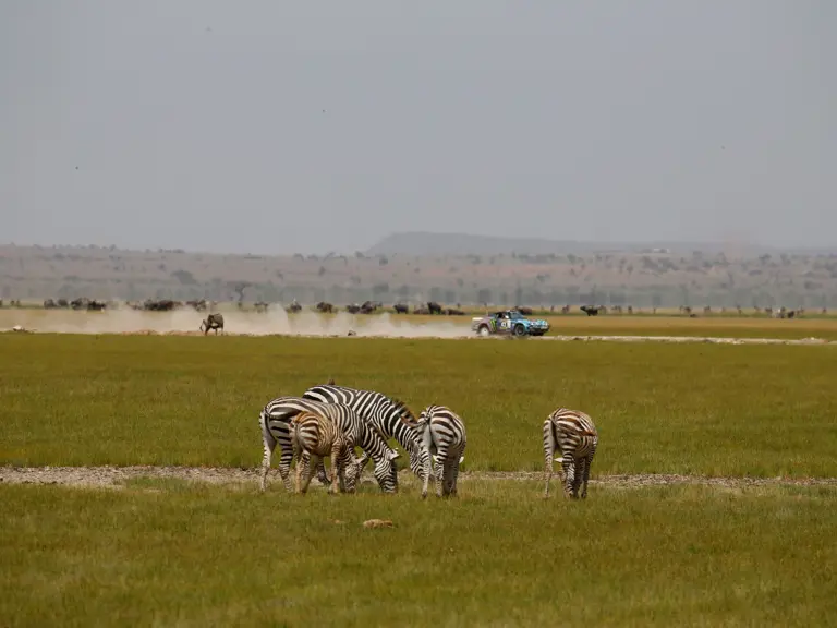 The Tuthill-prepared Porsche 911 SC 'Safari' on the 2022 East African Safari Classic, driven by Ken Block.