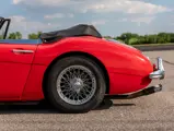 1956 Austin-Healey 3000 MKII - Photo: @vconceptsllc | Teddy Pieper